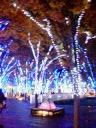 20051128_77481.jpg