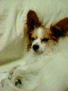 20060208_118707.jpg