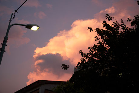 pink sky