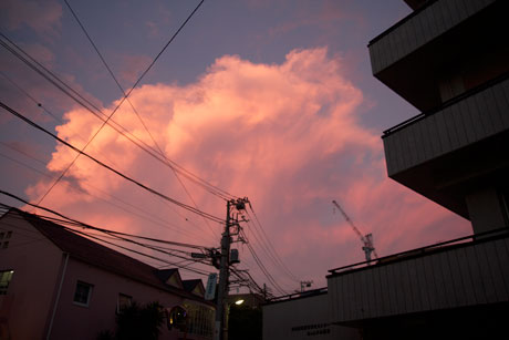 ピンクの空