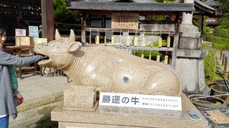 牛