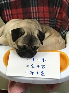 20170531_2017737.jpg