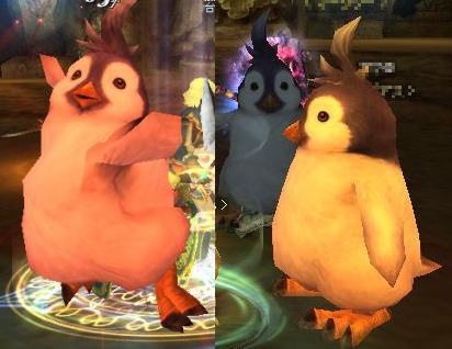 BF:ペンギン Lv60