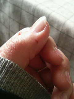 切れた