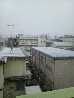 1/14雪景色