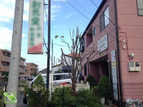 作業後のハナミズキ