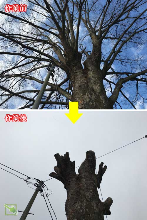 ビフォーアフター