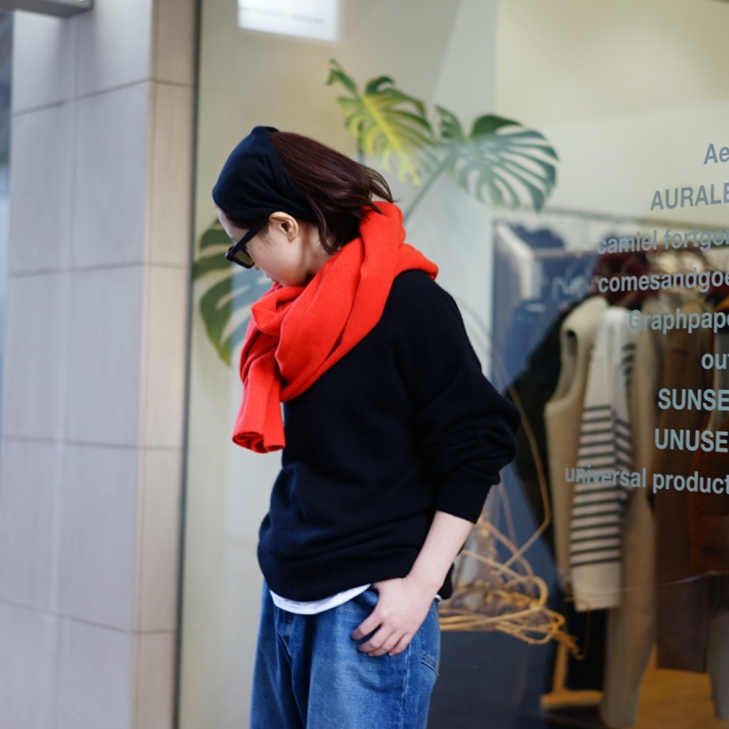 AURALEE(オーラリー)の新作、Baby Cashmere Knit P/O(A23AP03BC)/Top