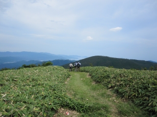 ooeyama04