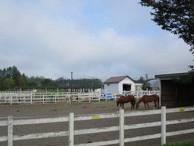IMG_0033.jpg