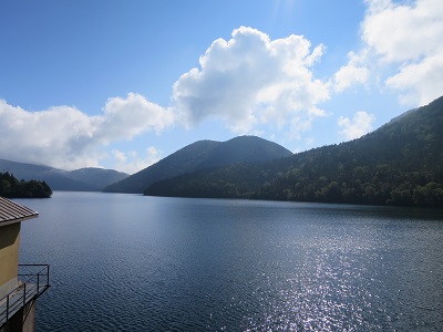 IMG_0041.jpg