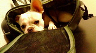 20080715193048.jpg