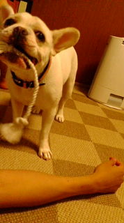 20080719235434.jpg