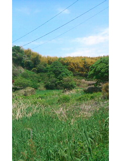 110509_1039~010001.jpg