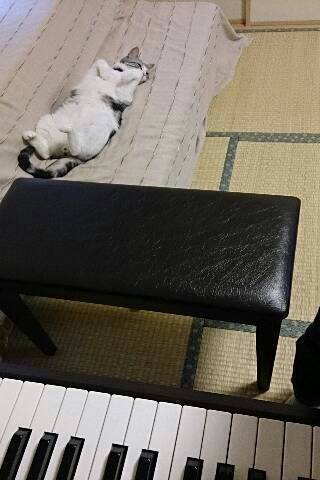 img20130722_173417.jpg