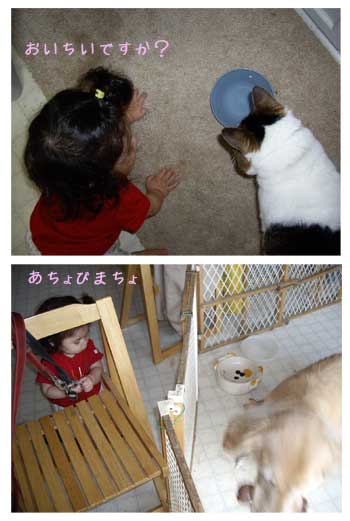 2008.6.4 三姉妹