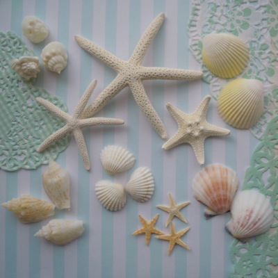 スターフィッシュ&貝殻の髪飾り | Chouette!＊shopblog＊
