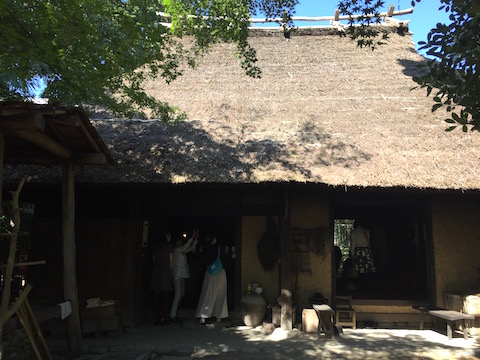 IMG_5501.jpg