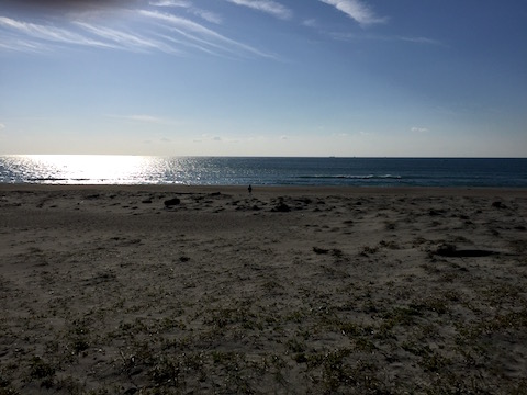 IMG_5809.jpg