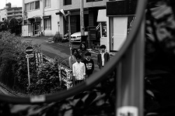森は生きている_200