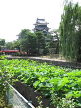 遠景