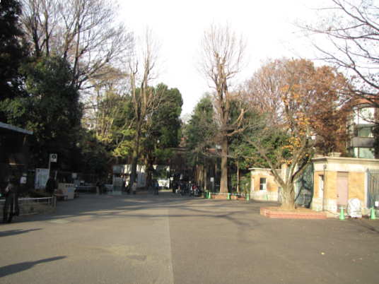 鳥舎