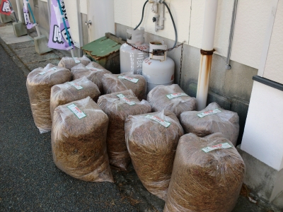 街路樹　落ち葉7