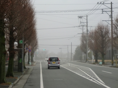 霧の朝