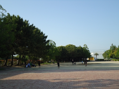 諏訪公園12