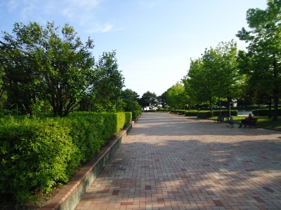 諏訪公園13