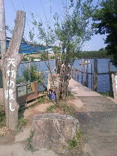 矢切の渡し