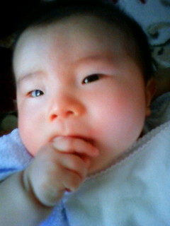 僕は元気に過ごしてるよ♪