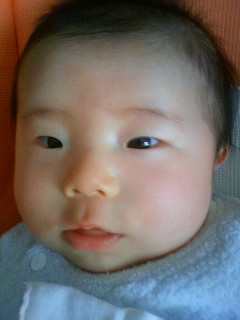 今日も沢山ないたよー