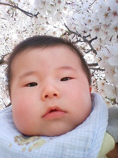 桜バックでパシャ!