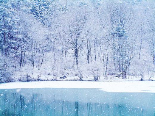 white christmas2.jpg