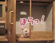 境目なしっ!