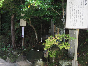 玉作湯神社願い石