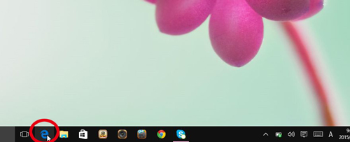 MicrosoftEdge1