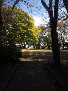 141103_092920.jpg