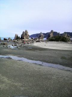 P1000142.jpg