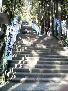 P1000147.jpg