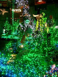 Emerald Fantasy
