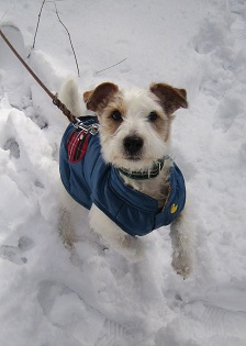 雪