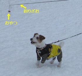 ¼Â¸³