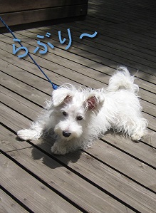 デリ君