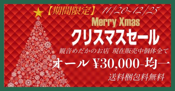 通販 激安 ◎○【☆観音めだかのお店 追加しました Xmasセールラスト ペットカート