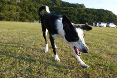 狙ってましゅよ〜