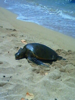 201104271258000.jpg