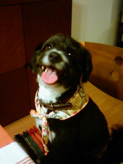 201105021910001.jpg
