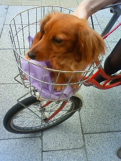 201106181435000.jpg
